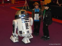 r2-d2-lingostiere-2012-2.jpg